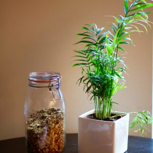 Kitchen decor