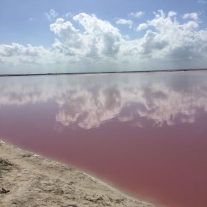 Pink Lake at Los Colarodas Mexico
