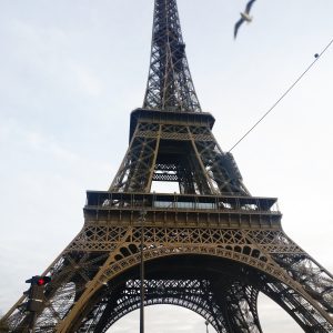 paris_fashion and frappes
