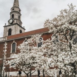Sakura in London Cherry blossom Skincare for men
