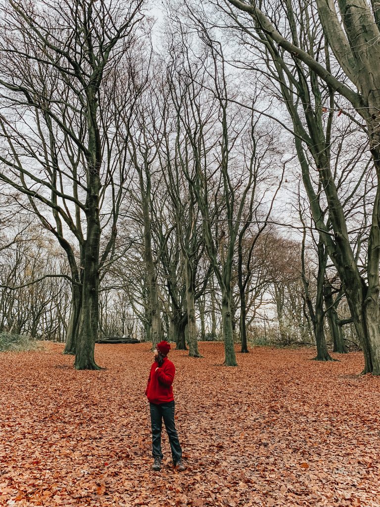 Autumn leaves in Hamstead Heath self care