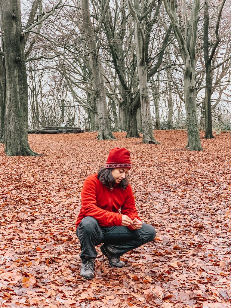 Autumn leaves in Hamstead Heath self care