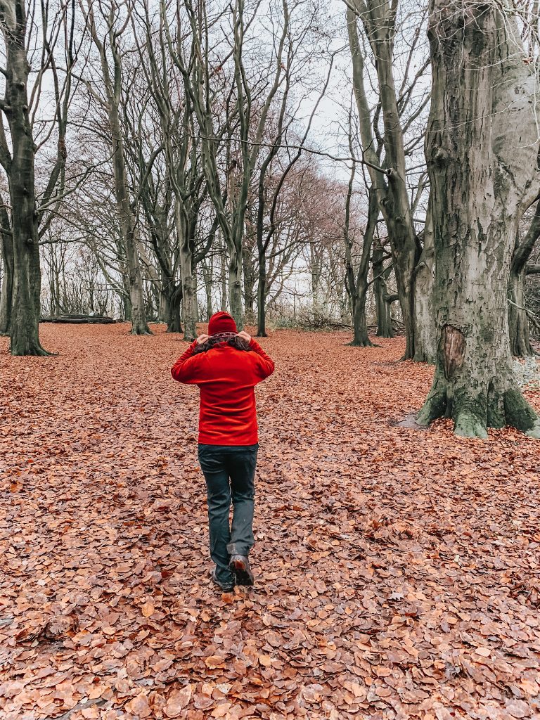 Autumn leaves in Hamstead Heath self care