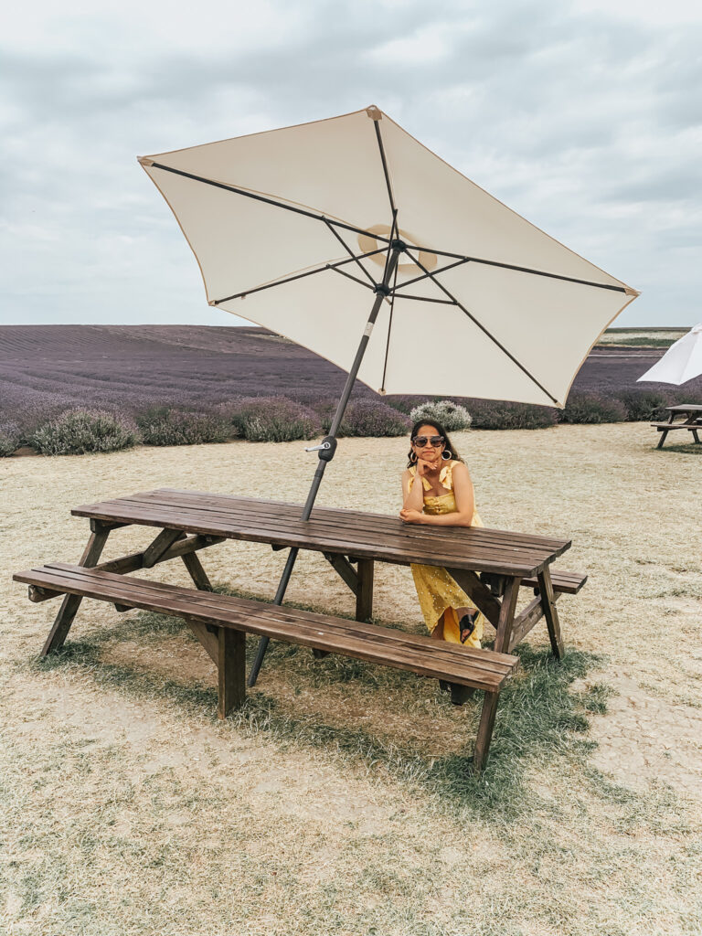 Hitchin Lavender fields Sezane dress