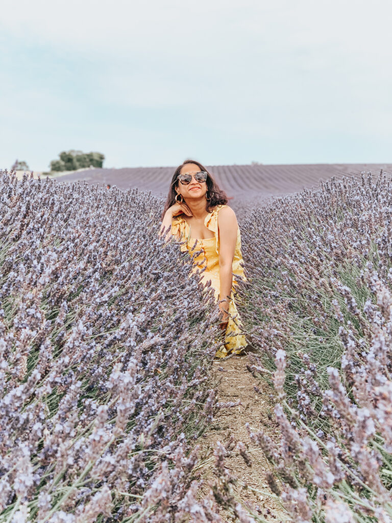 Hitchin Lavender fields Sezane dress
