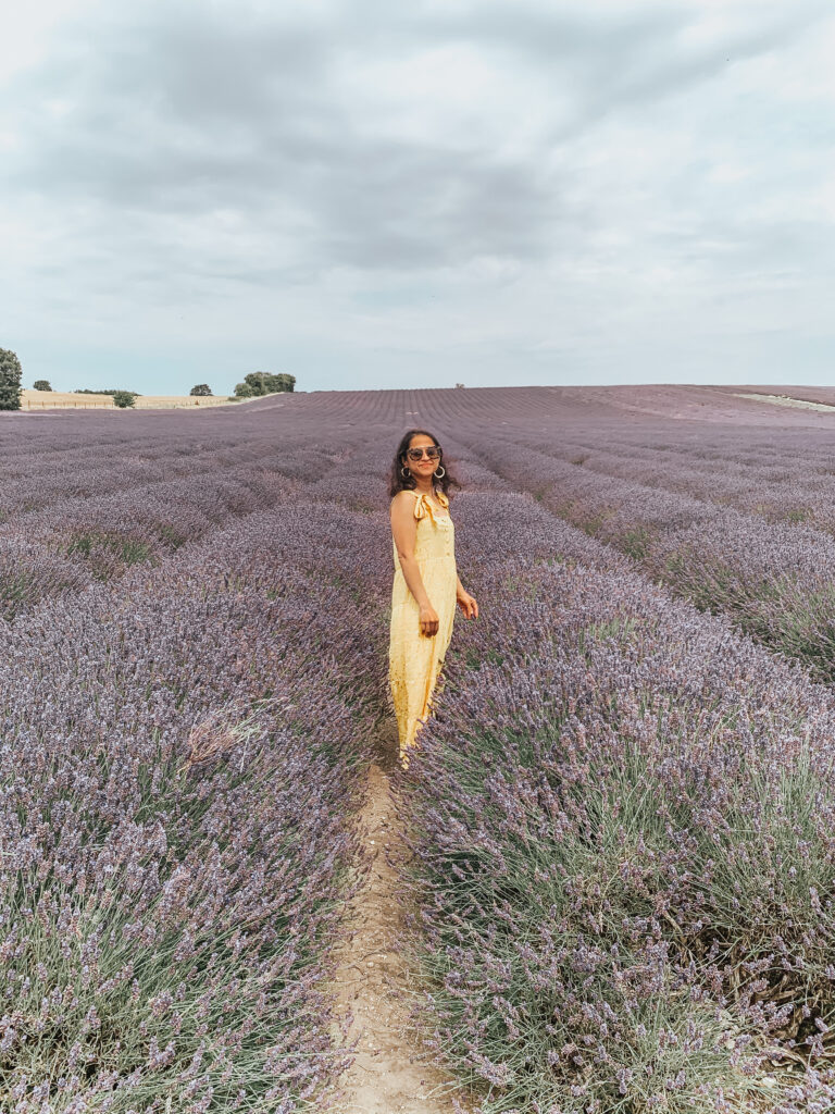 Hitchin Lavender fields Sezane dress