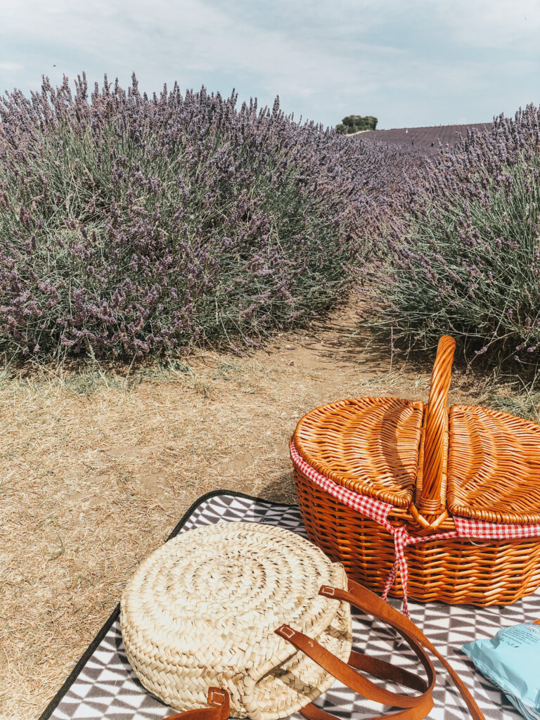 Picnic at the Hitchin lavender fields
