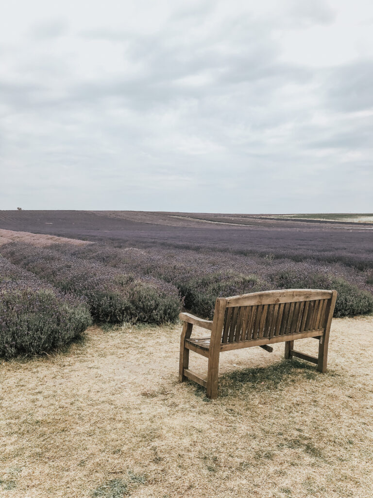 Hitchin Lavender fields Sezane dress