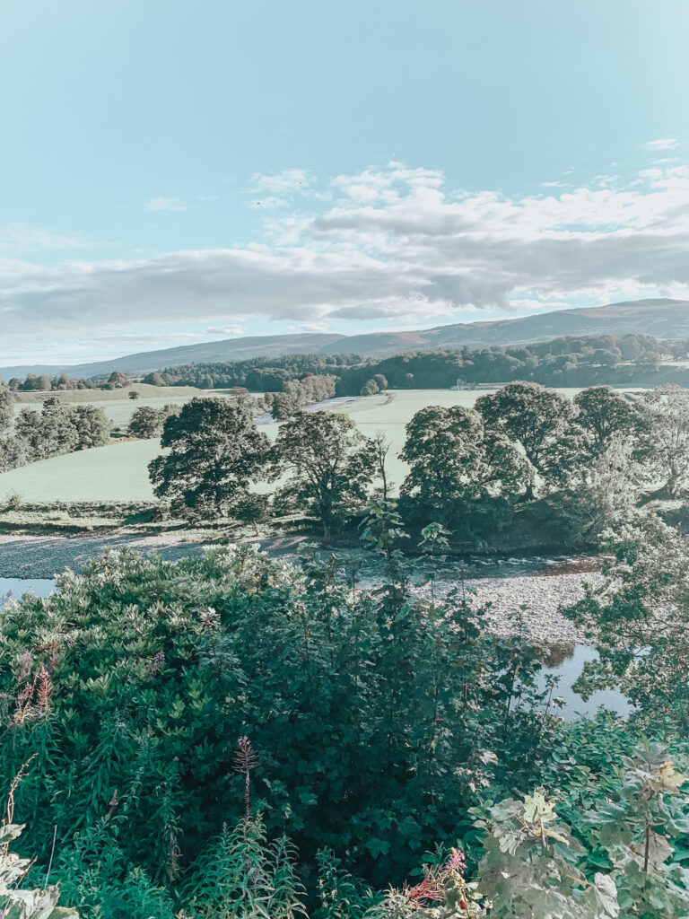 Ruskin's View