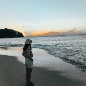 Beach sunset no-buy year