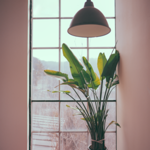 lighting