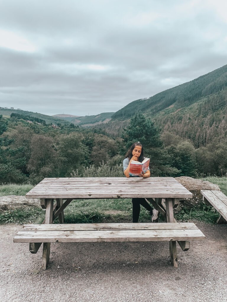 Malibu Rising August reading