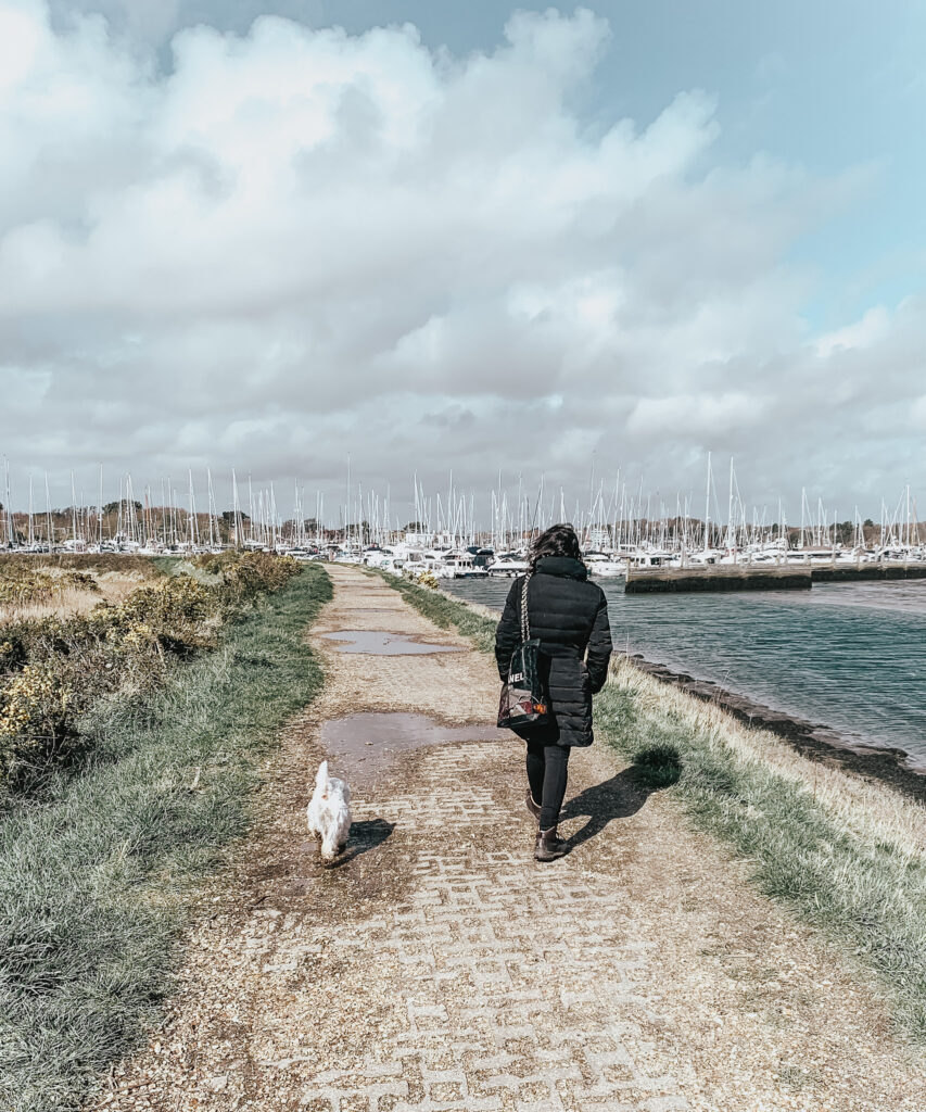 Lymington Yacht Haven
