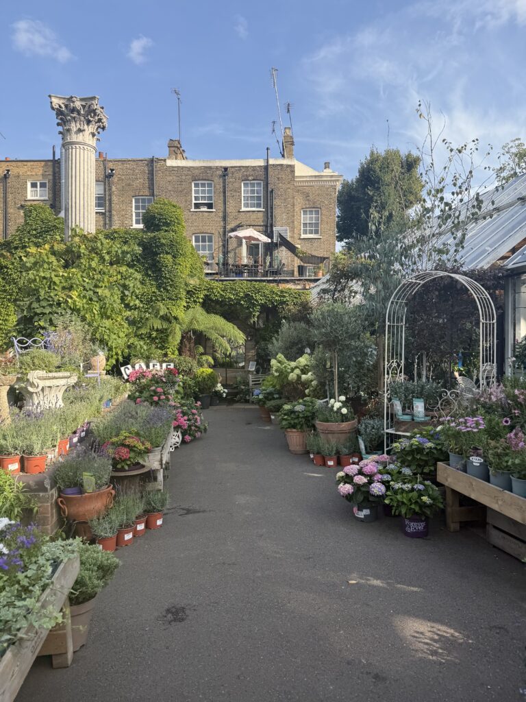Clifton Nurseries